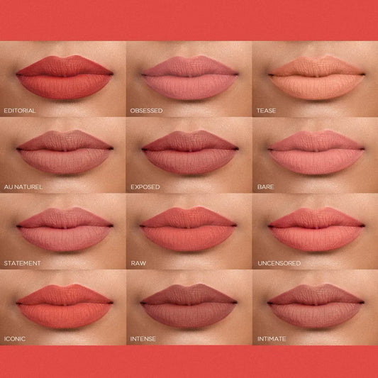 Ever Bilena Matte Colorlock Lippie
