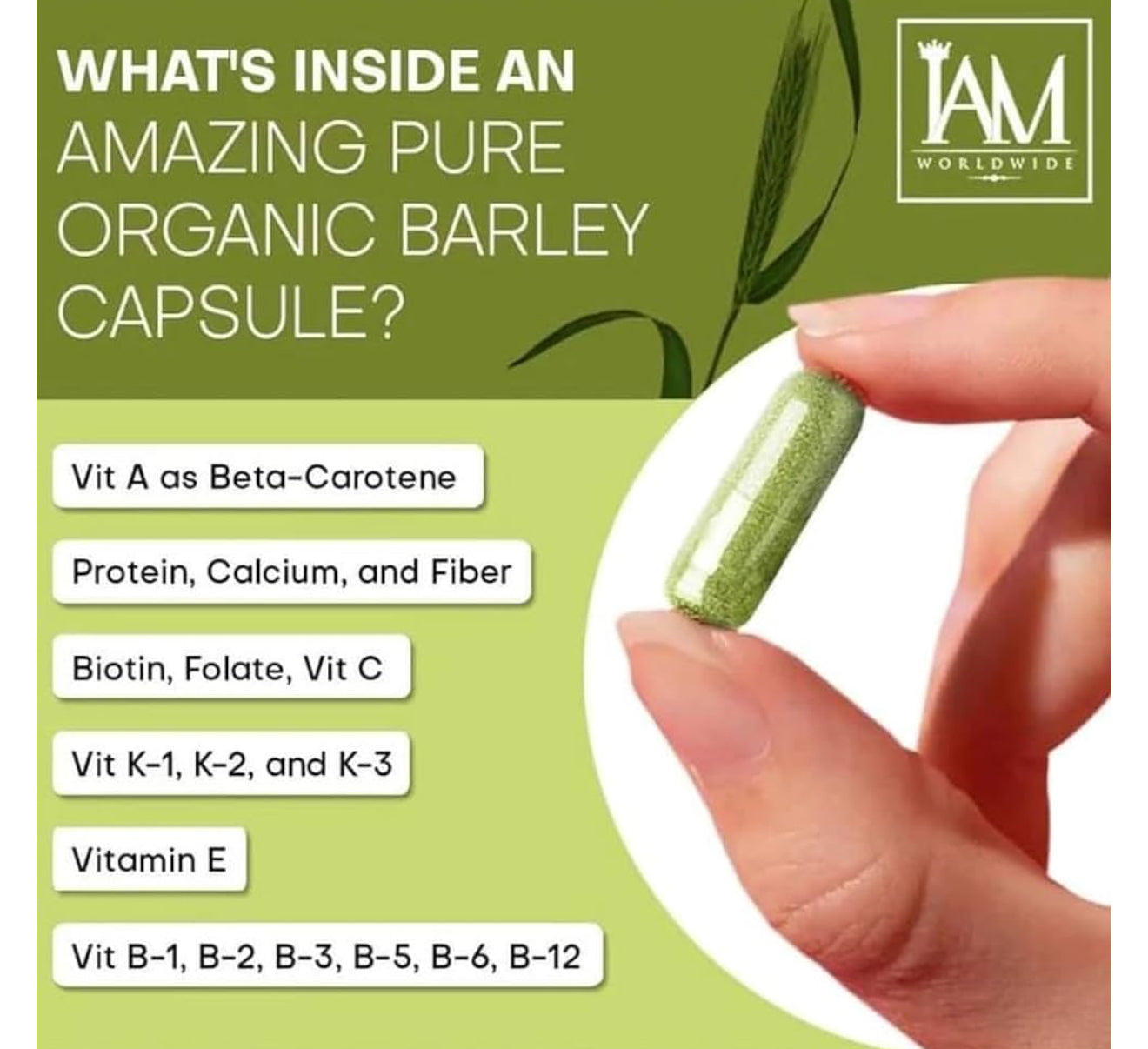 I AM Worldwide - Organic Barley Food Supplement (500mg/100capsules)